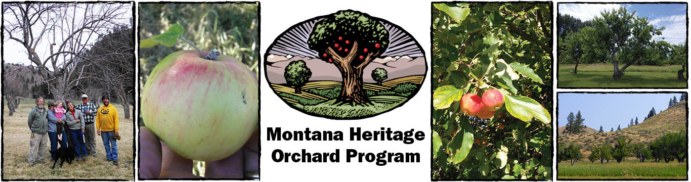Heritage Orchard Banner Photo